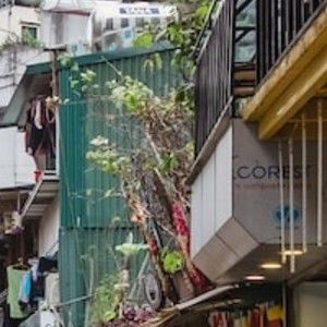 Meet your Posher, Elvira